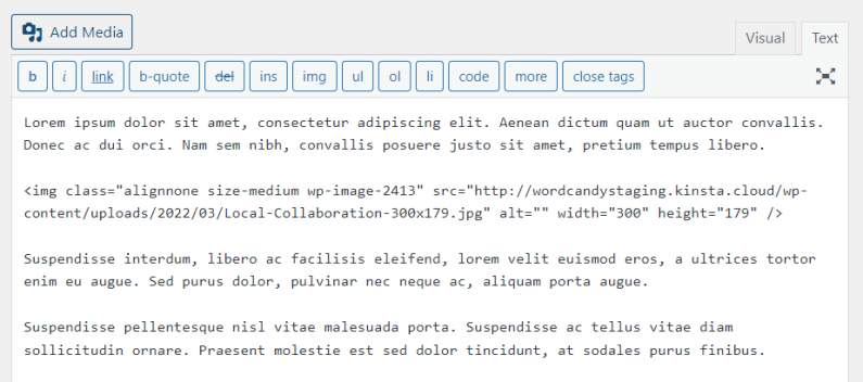 editing HTML using the classic editor in WordPress